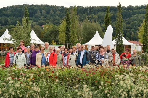 Senioren und Menschen mit Behinderung